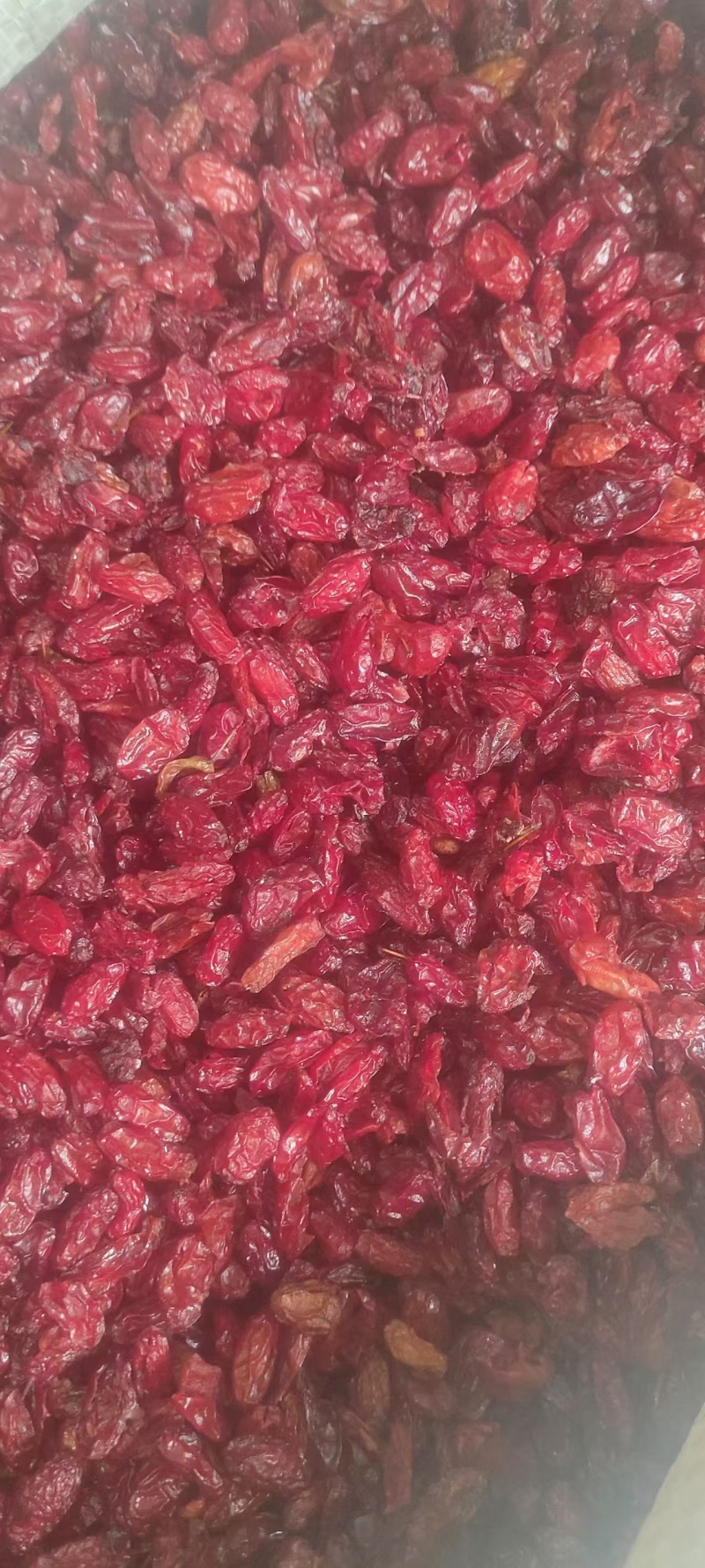 【精品】山萸肉颜色好无籽干度好中药材批发100斤起批