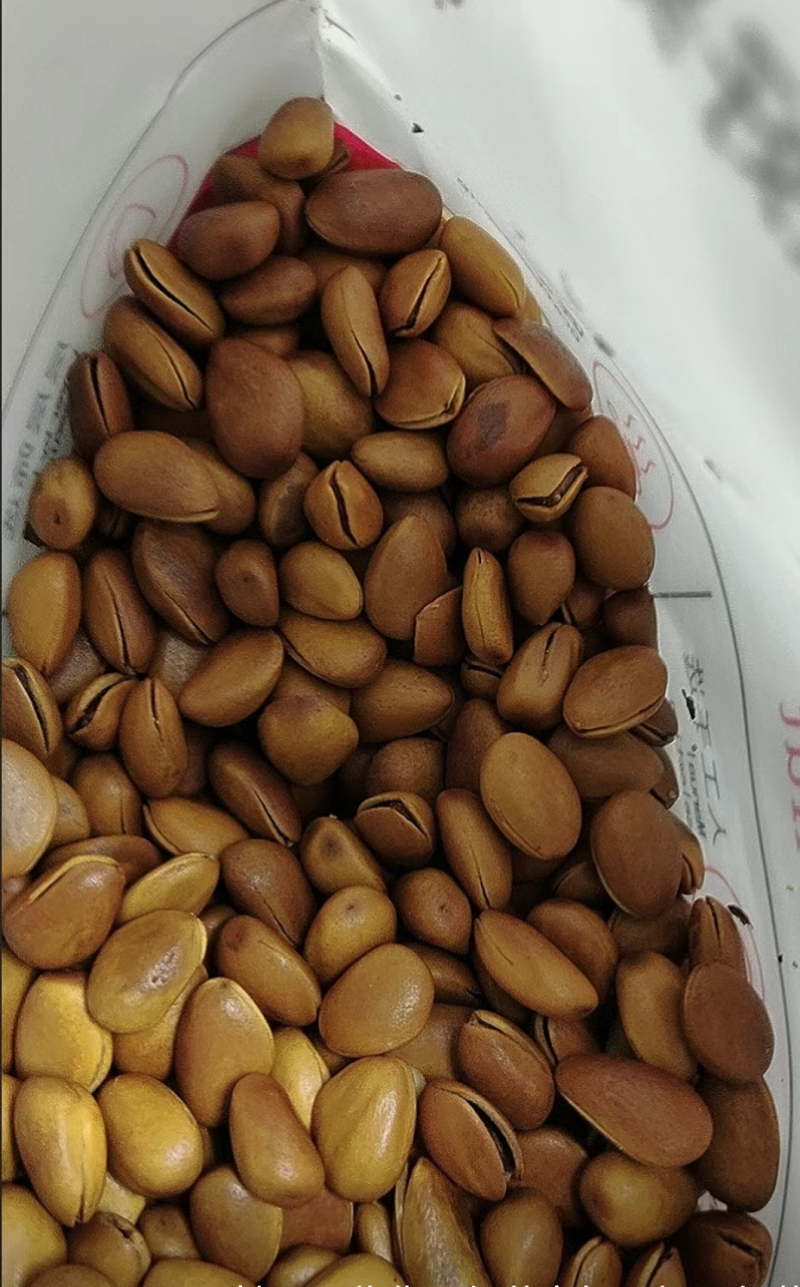 袋东北松子电商货