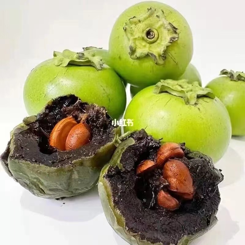 巧克力果布丁果-黑柿