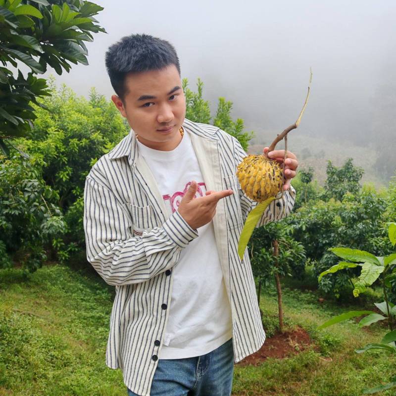 黄龙释迦果