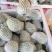 广东芭乐货源充足量大从优品质保证价格美丽