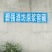 【实力商家】桥坝碧强酒坊厂家直销常年供应价格实惠
