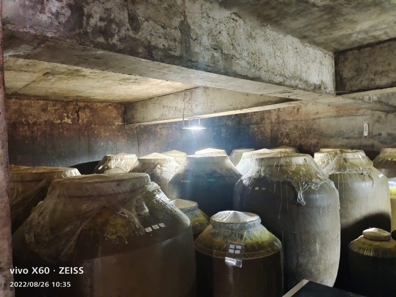 【实力商家】桥坝碧强酒坊厂家直销常年供应价格实惠