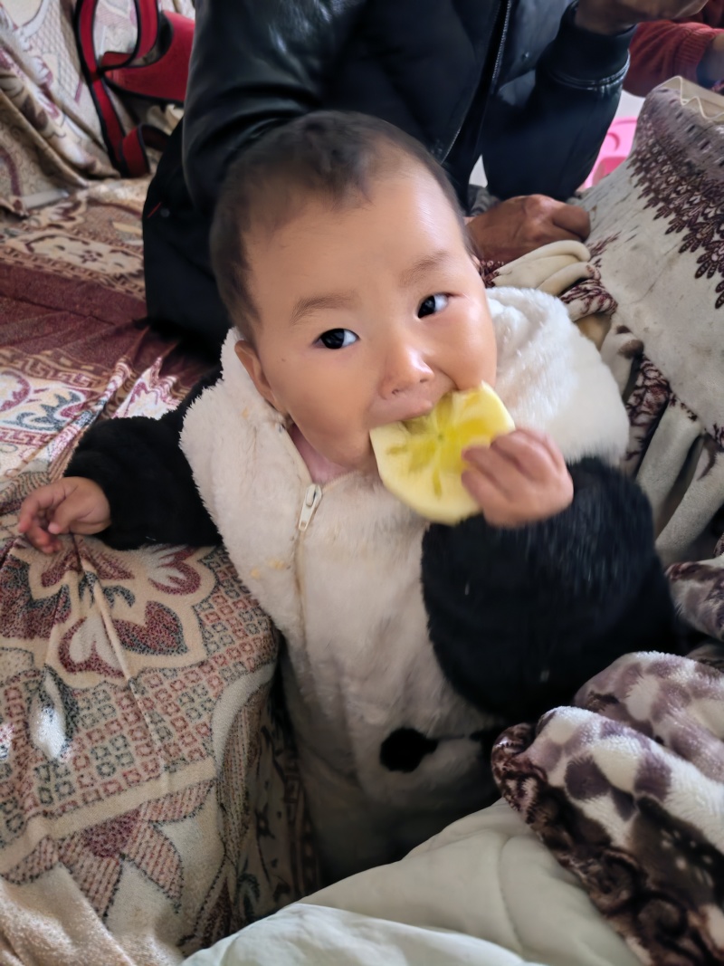 昭通糖心丑苹果基地直销欢迎各位老板联系