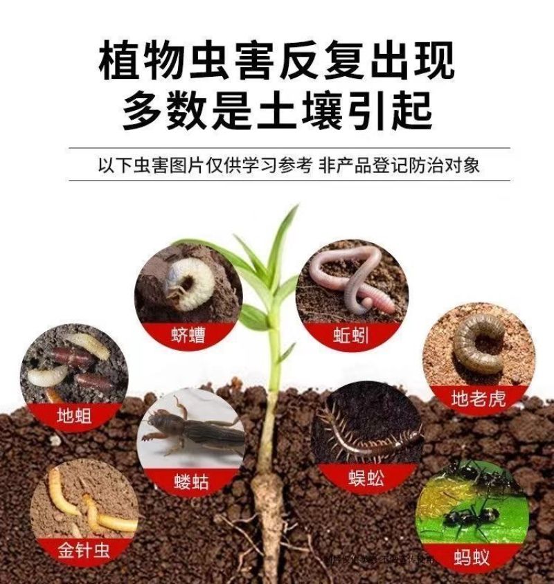 1%联苯噻虫胺