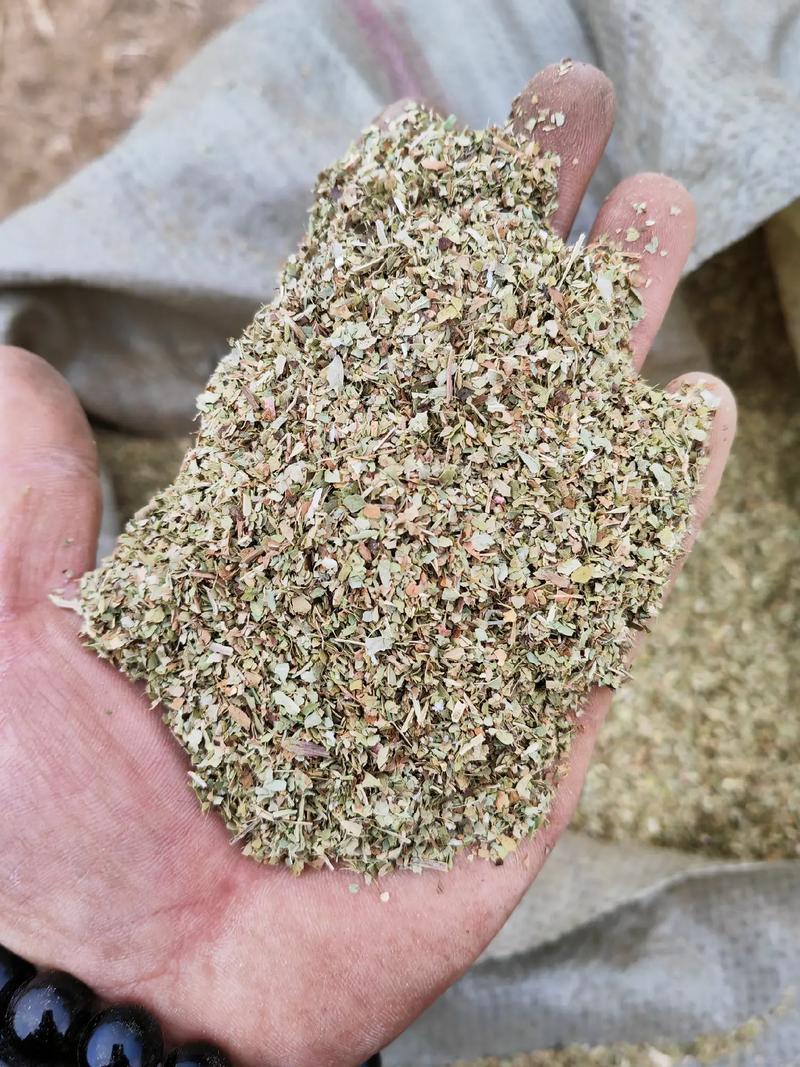 【精品花生秧】河南正阳产地直发一手货源质量上乘欢迎订购