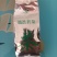芦荟保健茶叶