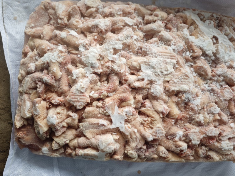 鸡脖子817鸡脖子