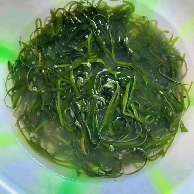 精品海带丝煲汤炖汤海带丝地摊展销会饭店海带丝批发