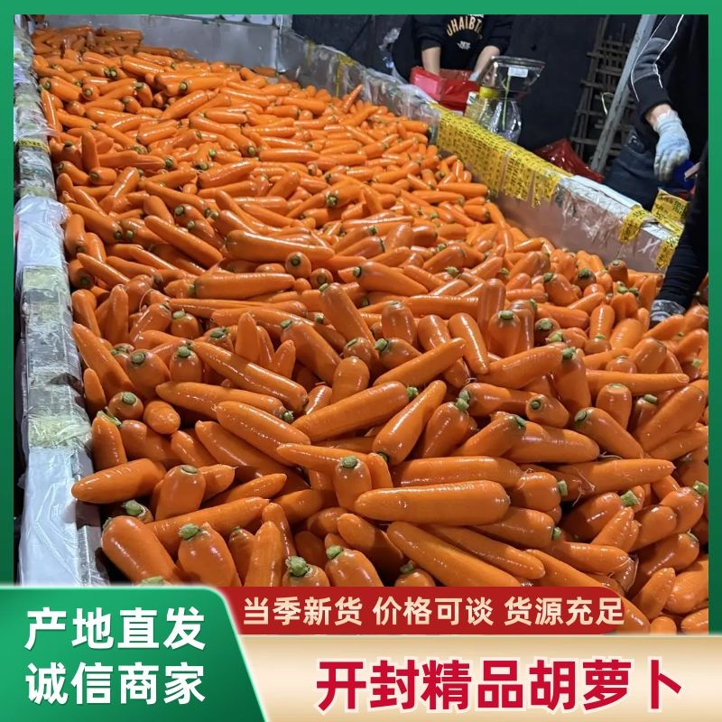 【精品水洗胡萝卜】大红二红、大量供应。价位合理。