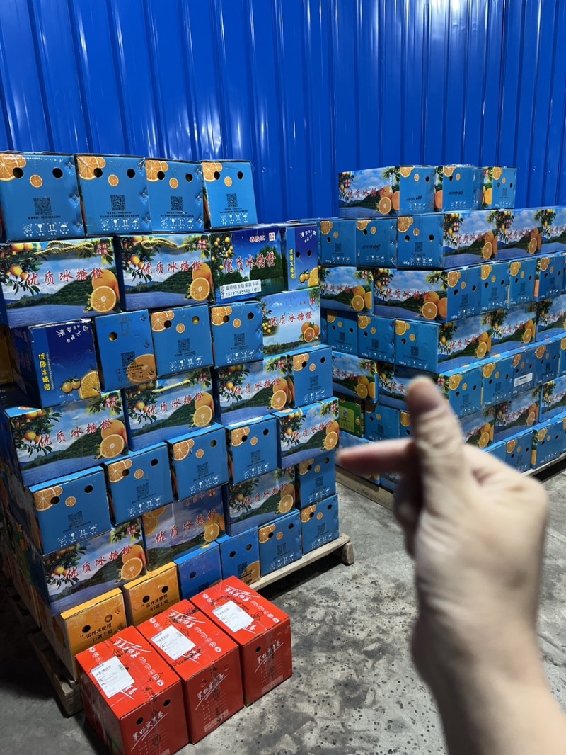 永兴冰糖橙