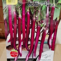 杭茄一号️紫红线茄F1杂交种籽