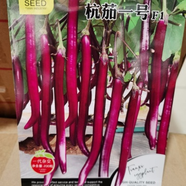 杭茄一号️紫红线茄F1杂交种籽