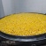 【玉米酒】525557度玉米酒口感醇香自产自销