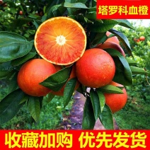 【塔罗科血橙】四川血橙/内江血橙/产地货源/全国发货
