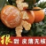 2025现摘现发汉中黄皮橘子新鲜蜜桔子特早熟桔子水果纯甜