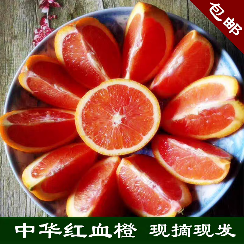 【塔罗科血橙】四川血橙/内江血橙/产地货源/全国发货