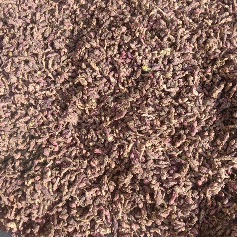 款冬花量大从优质量保证产地直发可视频看货量大从优