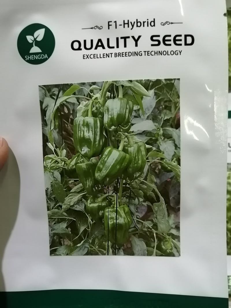 麻椒80薄皮椒种子辣椒种子麻辣椒种子口感麻辣味道清香