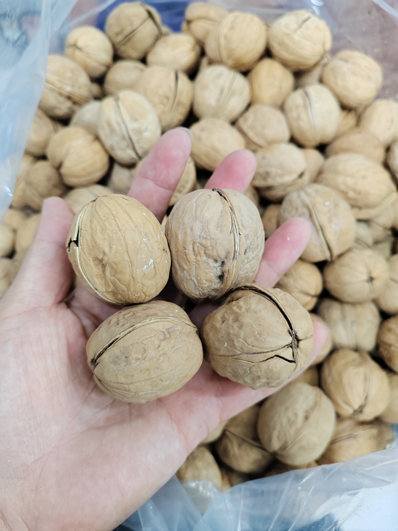 25年新货熟核桃烤核桃奶油草本椒盐味薄皮核桃休闲食品炒货