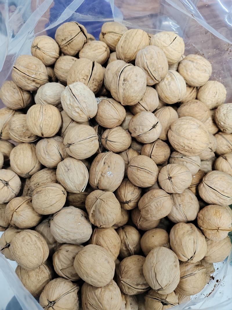 25年新货熟核桃烤核桃奶油草本椒盐味薄皮核桃休闲食品炒货