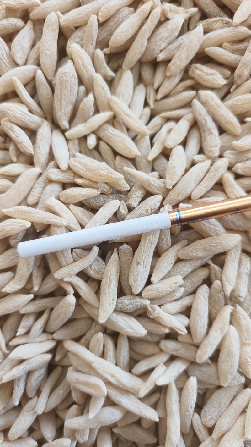 麦冬好货，正品直销，库存长期有货，多种规格，欢迎电话联系