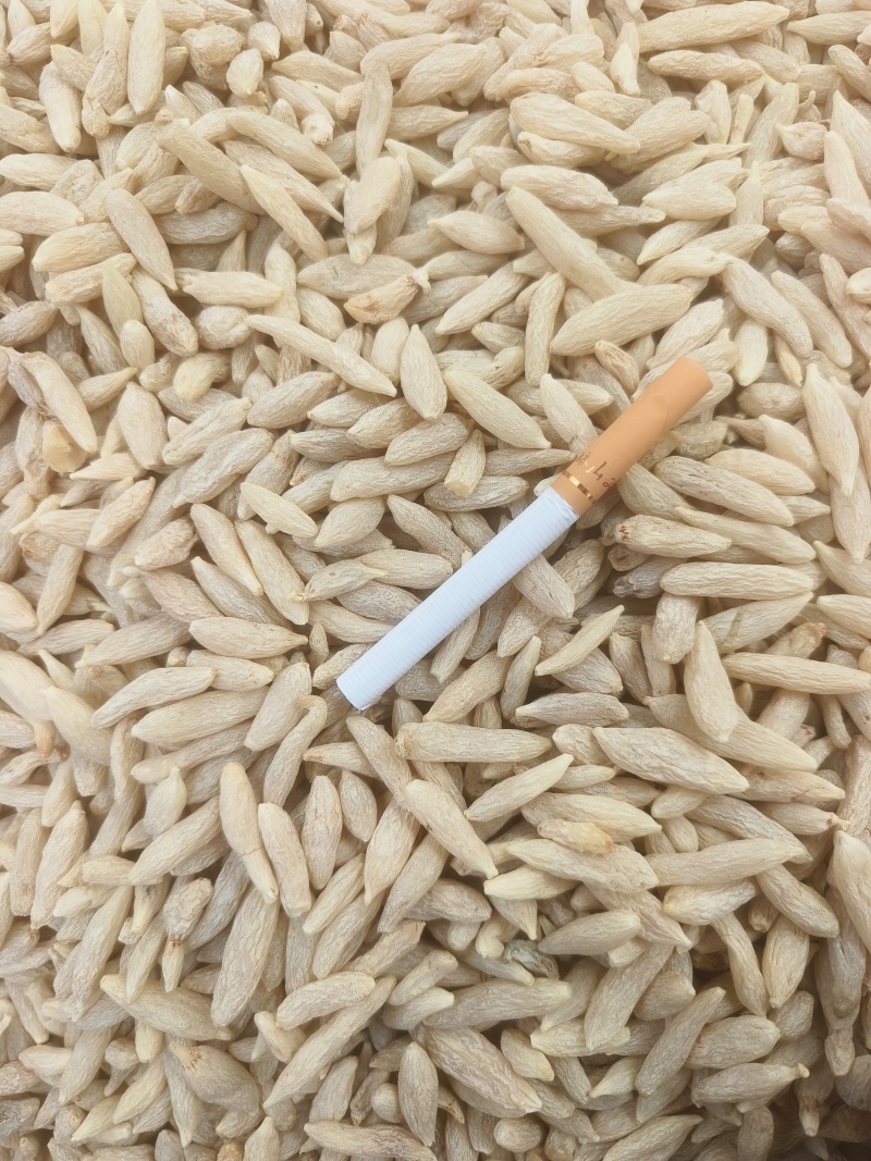 麦冬好货，正品直销，库存长期有货，多种规格，欢迎电话联系