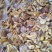 小黄牛肝菌盐水产地直销