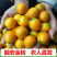 【广西融安滑皮金桔】现摘新鲜纯甜水果应季橘子脆皮孕妇水果