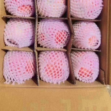 苹果红富士冰糖心苹果一手货源，欢迎洽谈