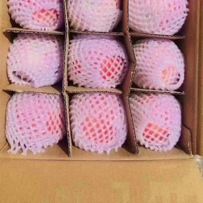 苹果红富士冰糖心苹果一手货源，欢迎洽谈