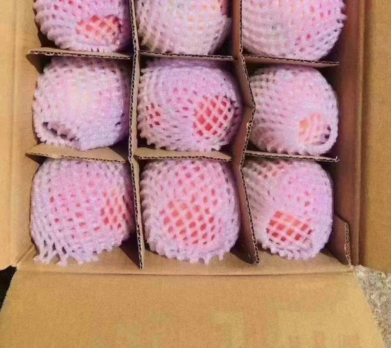 苹果红富士冰糖心苹果一手货源，欢迎洽谈