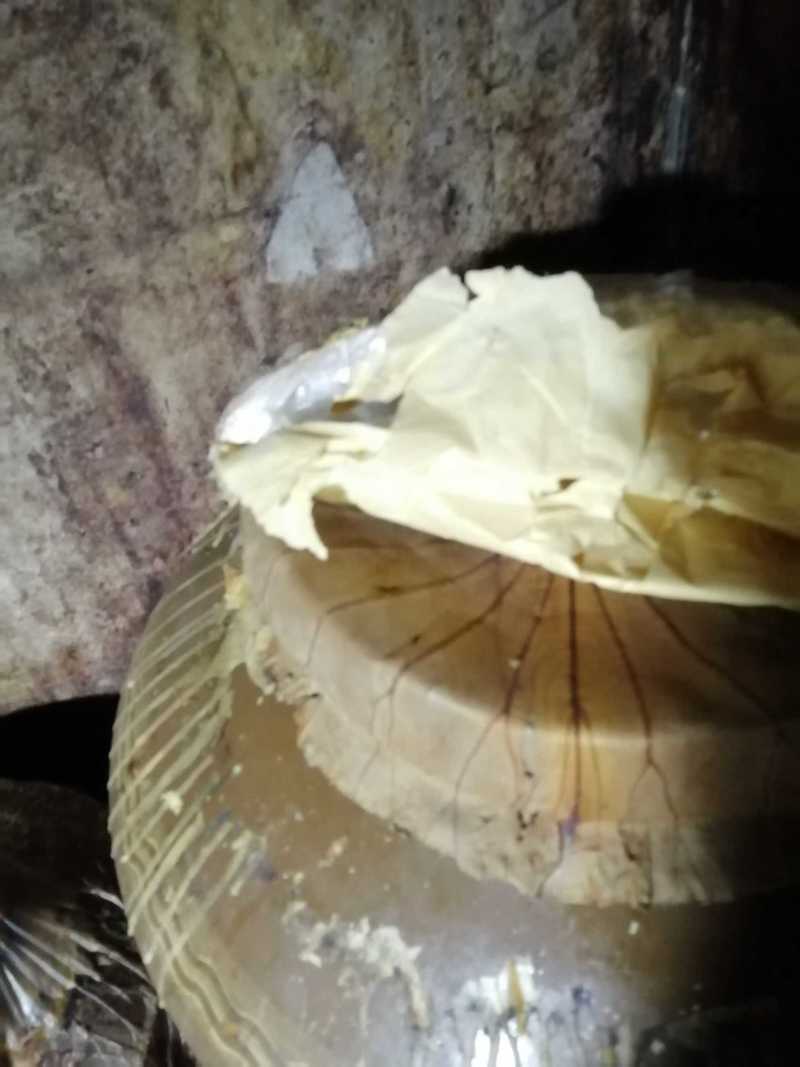 【窖藏玉米酒】57度60度品质保障入口棉柔回味甘甜