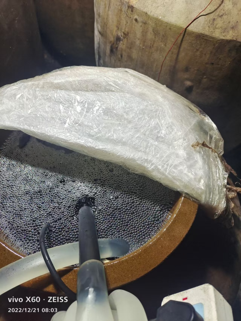 【实力商家】桥坝碧强酒坊厂家直销常年供应价格实惠