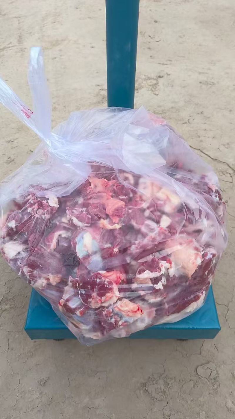 甘肃山羊肉山羊羔子肉跑山羊肉质鲜美量大从优