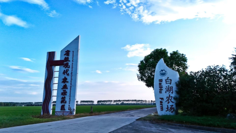 2024新米，品牌加持，国企担当，生态好米，团购🔥爆。
