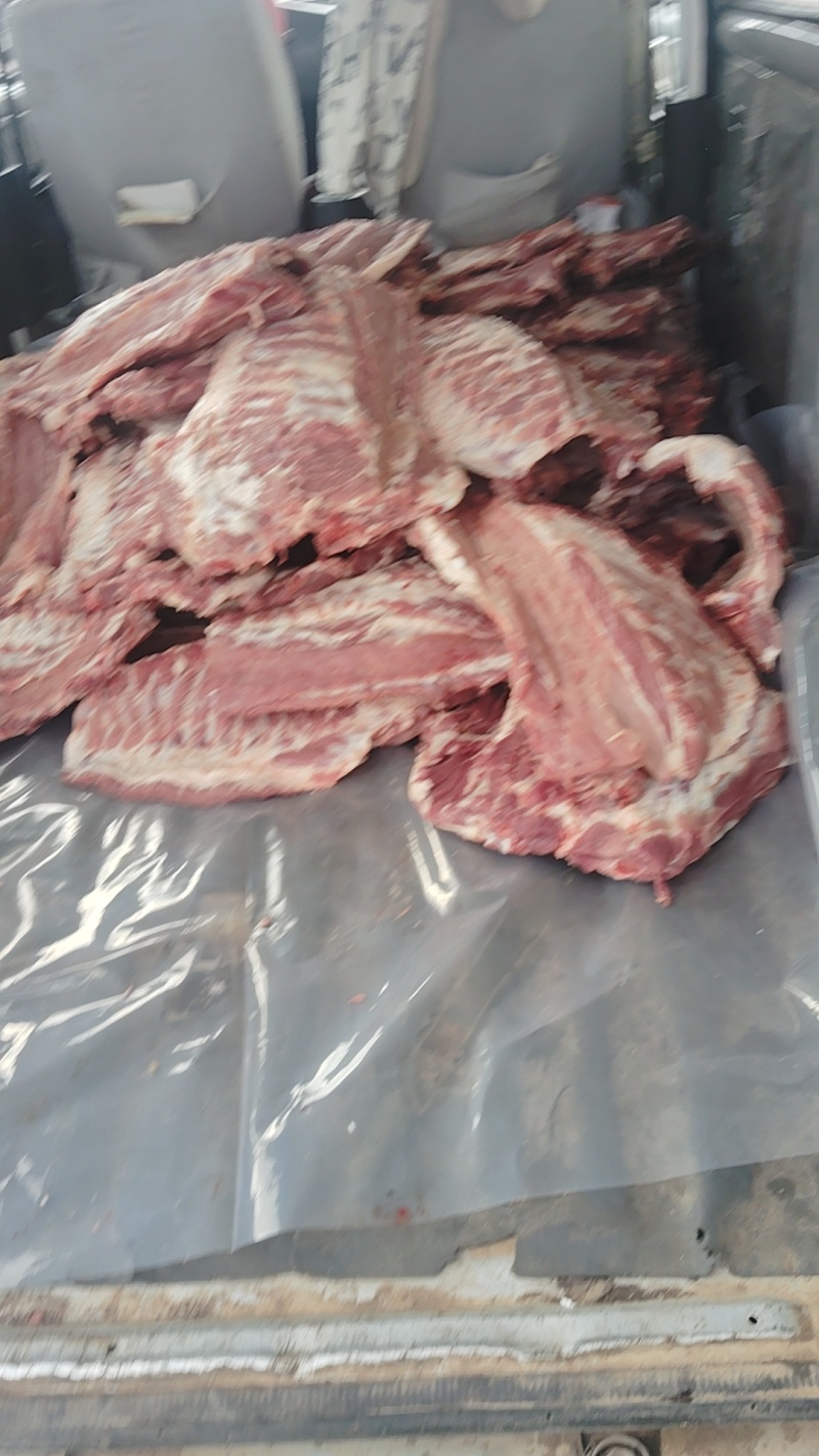新鲜标猪排骨