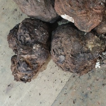 茯苓纯手工切片无硫生态放心购买欢迎新老顾客下单咨询