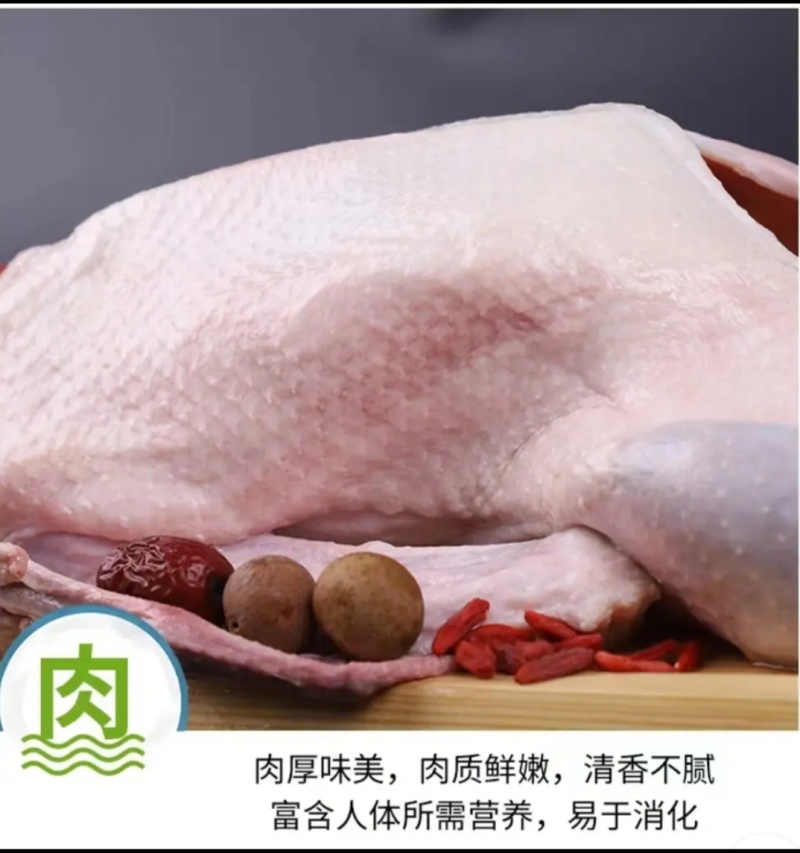 大鹅批发，大量到货，冬天到了，铁锅炖大鹅安排起来价格实惠