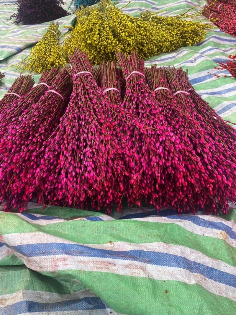 银柳年宵花