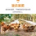 正宗赣南脐橙/全国包邮一件代发/皮薄多汁口感/公司福利