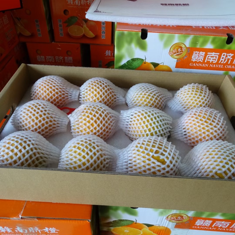 赣南脐橙爱马仕橙12个精选大果礼盒装/单位公司福利脐橙