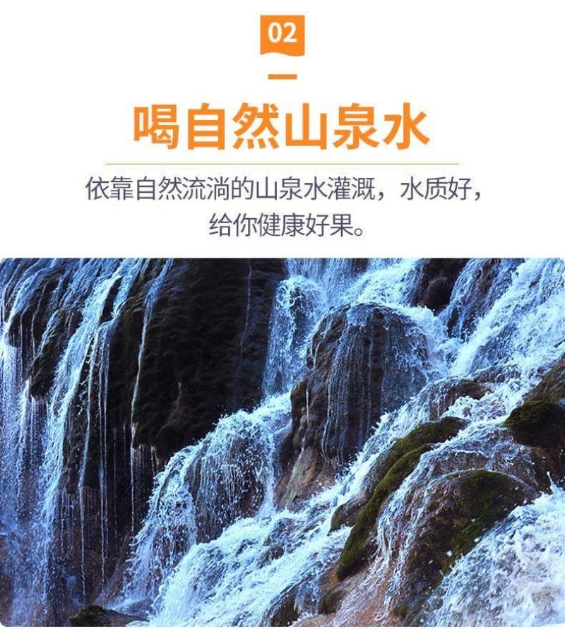 正宗赣南脐橙/全国包邮/一件代发/福利/皮薄多汁中果