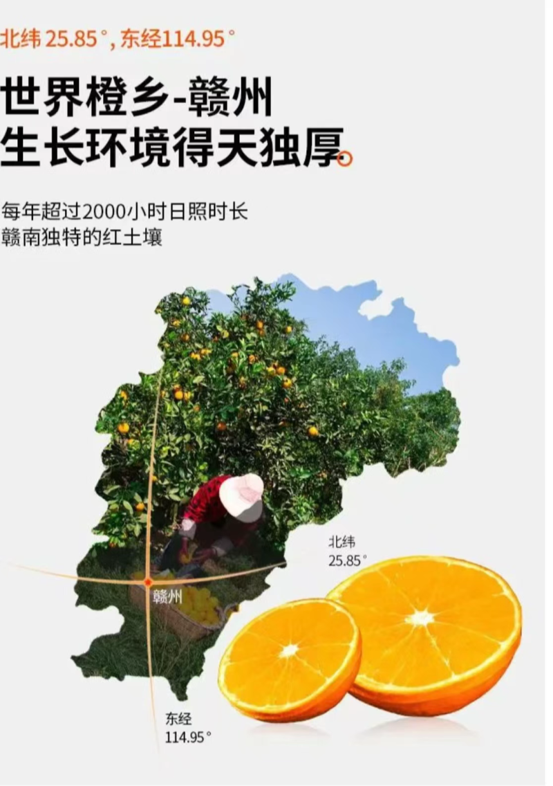 正宗赣南脐橙/全国包邮/一件代发/福利/皮薄多汁中果