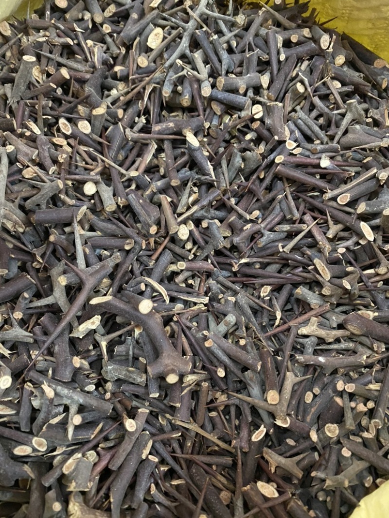 皂针皂角刺手剪老刺干货产地山东