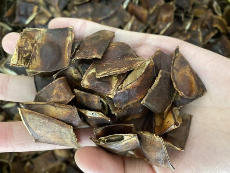 皂角皂角段产地山东产品实拍