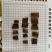 皂角皂角段产地山东产品实拍
