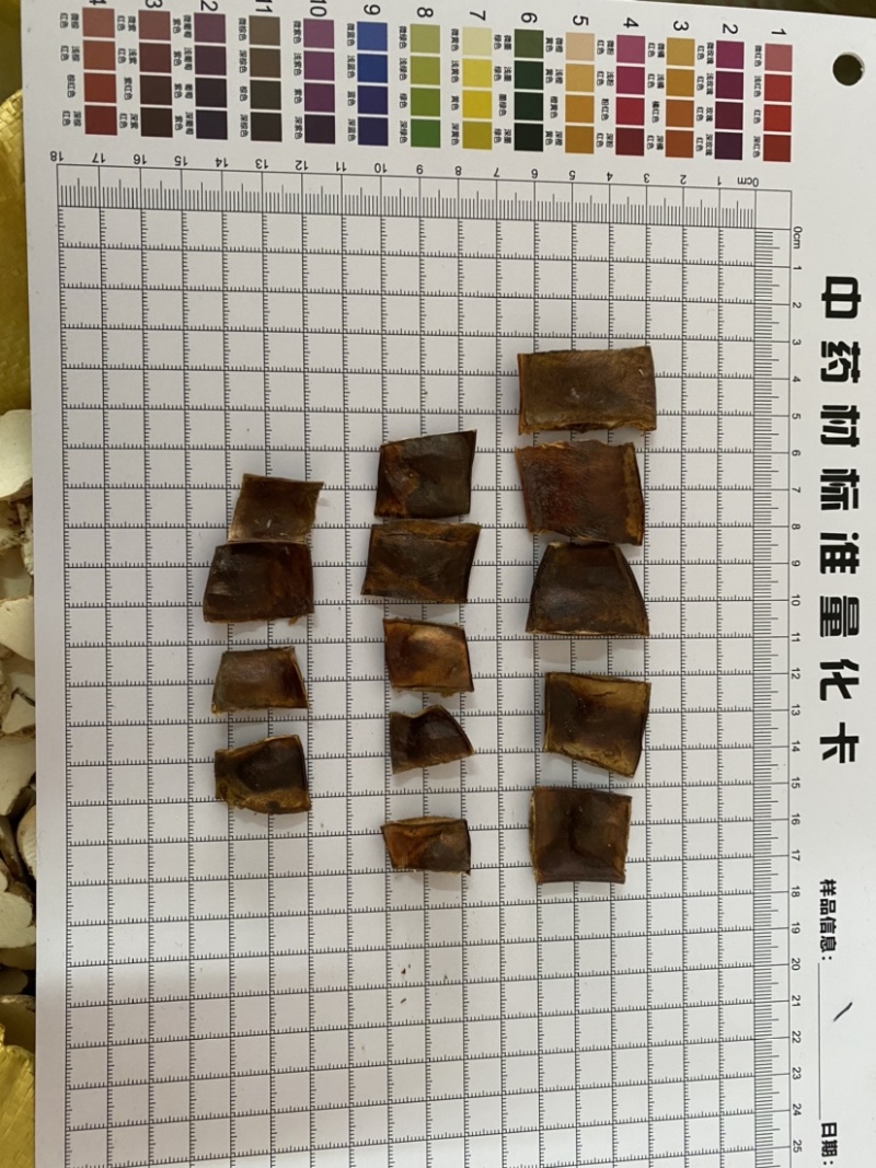 皂角皂角段产地山东产品实拍
