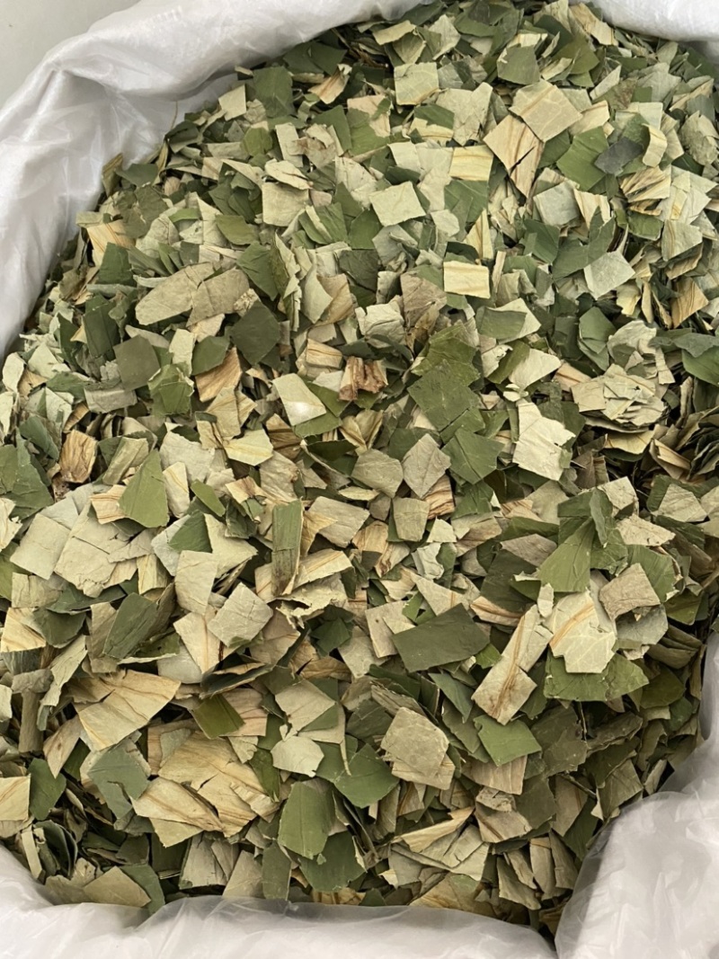 荷叶荷叶块今年新货颜色好