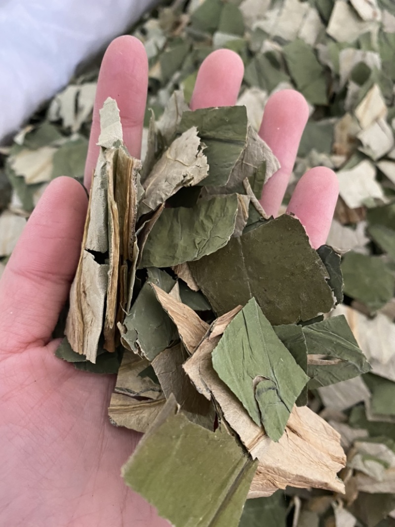 荷叶荷叶块今年新货颜色好